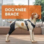 LISPOO Dual Knee Brace for Dog Joint Pain