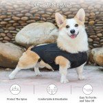 Dog Back Support Vest for IVDD Relief