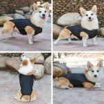 Dog Back Support Vest for IVDD Relief