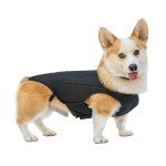 Dog Back Support Vest for IVDD Relief