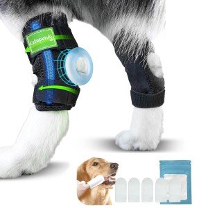 Dog Back Leg Support Braces - 2 Pack