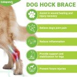 Dog Back Leg Support Braces - 2 Pack