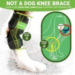 Dog Back Leg Support Braces - 2 Pack