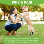 Dog Back Leg Support Braces - 2 Pack