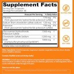 Glucosamine Chondroitin MSM Capsules for Joint Health