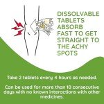 T-relief Zeel Arthritis Pain Relief Tablets - 100ct