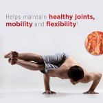 Wobenzym Joint Supplement for Mobility & Recovery
