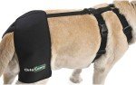 Large Dog Hip Brace for Osteoarthritis Support