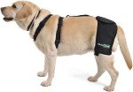 Large Dog Hip Brace for Osteoarthritis Support