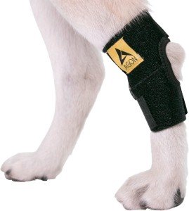 Dog Leg Brace for Back Leg Support and Healing
