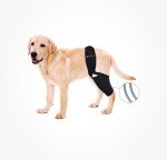 BaoGuai Dog Knee Brace for Hind Leg Support