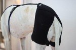 Large Dog Hip Brace for Osteoarthritis Support