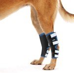 Veterinarian Approved Canine Hock Brace - XL Pair