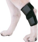Dog Leg Brace for Back Leg Support and Healing
