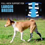 Veterinarian Approved Canine Hock Brace - XL Pair