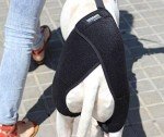 Large Dog Hip Brace for Osteoarthritis Support