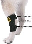 Dog Leg Brace for Back Leg Support and Healing