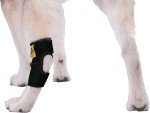 Dog Leg Brace for Back Leg Support and Healing