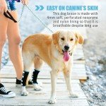 Veterinarian Approved Canine Hock Brace - XL Pair