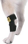 Dog Leg Brace for Back Leg Support and Healing