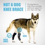 Veterinarian Approved Canine Hock Brace - XL Pair