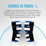 Veterinarian Approved Canine Hock Brace - XL Pair