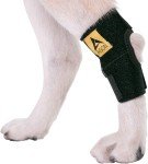 Dog Leg Brace for Back Leg Support and Healing