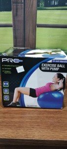 Inflatable Exercise Ball with Pump