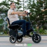 Foldable 3-Wheel Electric Mobility Scooter for Adults
