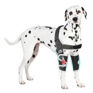 Dog Elbow Protector for Arthritis Relief