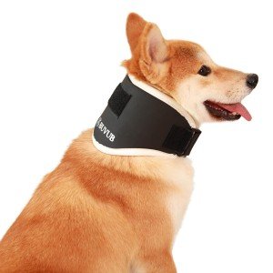 BUVUB Dog Neck Brace for Cervical Support