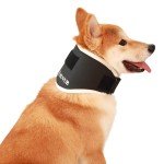 BUVUB Dog Neck Brace for Cervical Support
