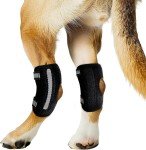 X-Small Dog Knee Brace for Torn ACL
