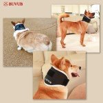 BUVUB Dog Neck Brace for Cervical Support