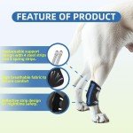 X-Small Dog Knee Brace for Torn ACL