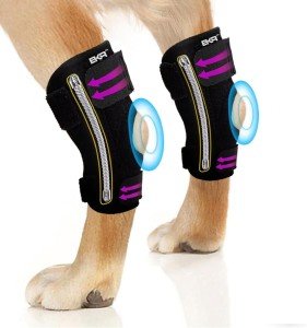 Dog Knee Brace for Arthritis and Joint Support