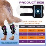 Dog Knee Brace for Arthritis and Joint Support