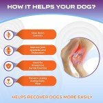 Dog Knee Brace for Arthritis and Joint Support