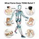TENS Therapy Electric Muscle Massager for Pain Relief