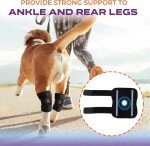 Dog Knee Brace for Arthritis and Joint Support