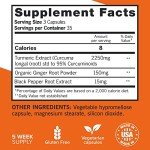 Extra Strength Turmeric Curcumin Joint Support Supplement
