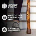Rustic Twisted Hickory Walking Stick for All Users