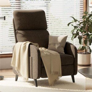 FLEXISPOT Adjustable Recliner Chair for Comfort
