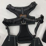 LISPOO Dog ACL Knee Brace for Joint Pain