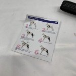 LISPOO Dog ACL Knee Brace for Joint Pain