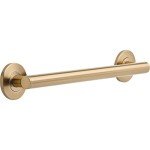 Delta 18" Contemporary Grab Bar in Champagne Bronze