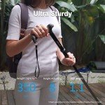 Foldable Adjustable Walking Cane for Seniors