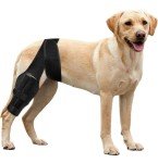 Dog Knee Brace for ACL Injury & Joint Pain