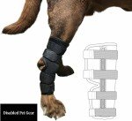 Dog Rear Leg Brace with Metal Support