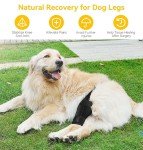 Dog Knee Brace for ACL Injury & Joint Pain